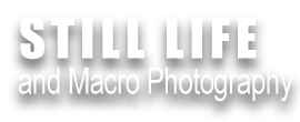 OBJECT PHOTOGRAPHY